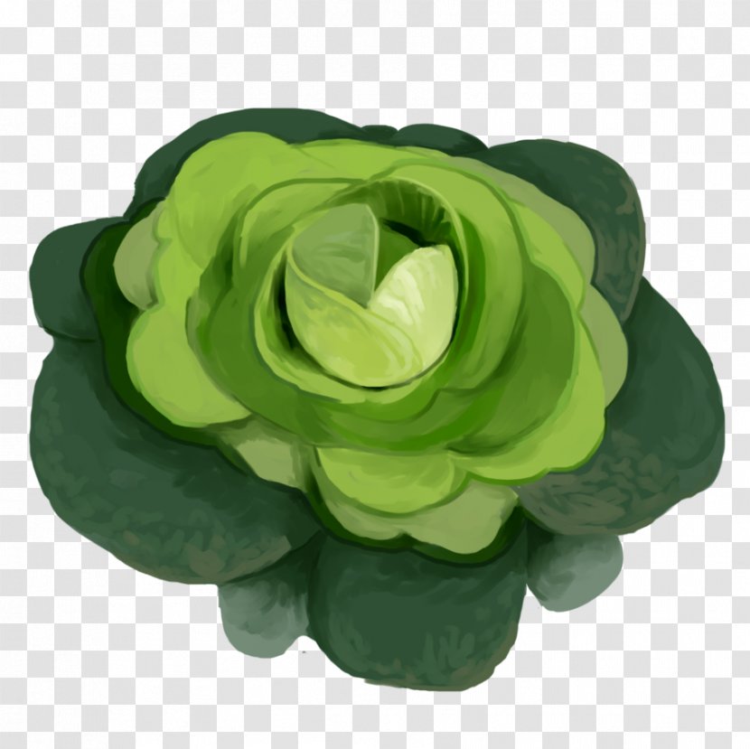 Petal Green Cut Flowers - Cabbage Transparent PNG