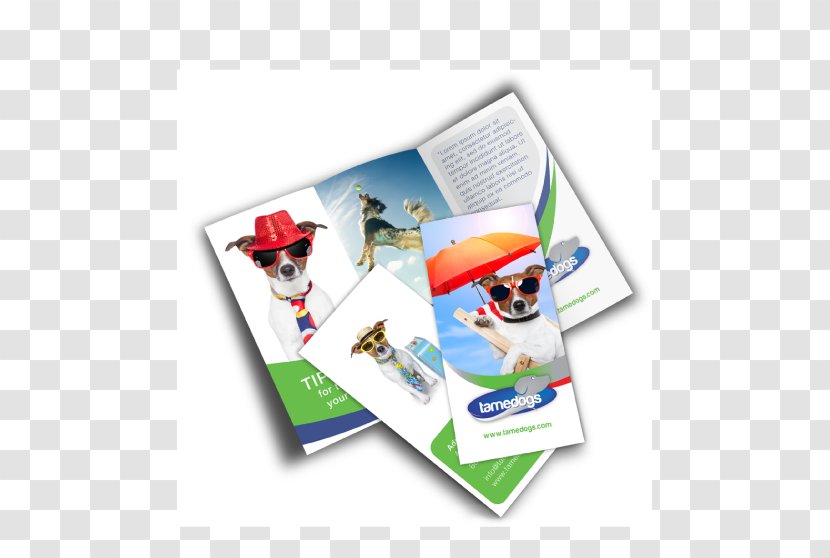 Advertising Brochure Printing Mockup Graphic Design - Pamphlet Transparent PNG