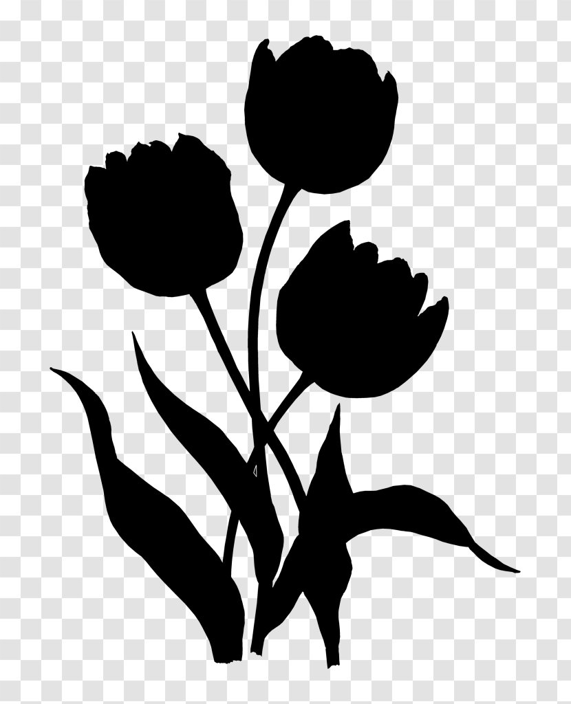 Tulip Rose Family Clip Art Plant Stem Leaf - Pedicel - Plants Transparent PNG