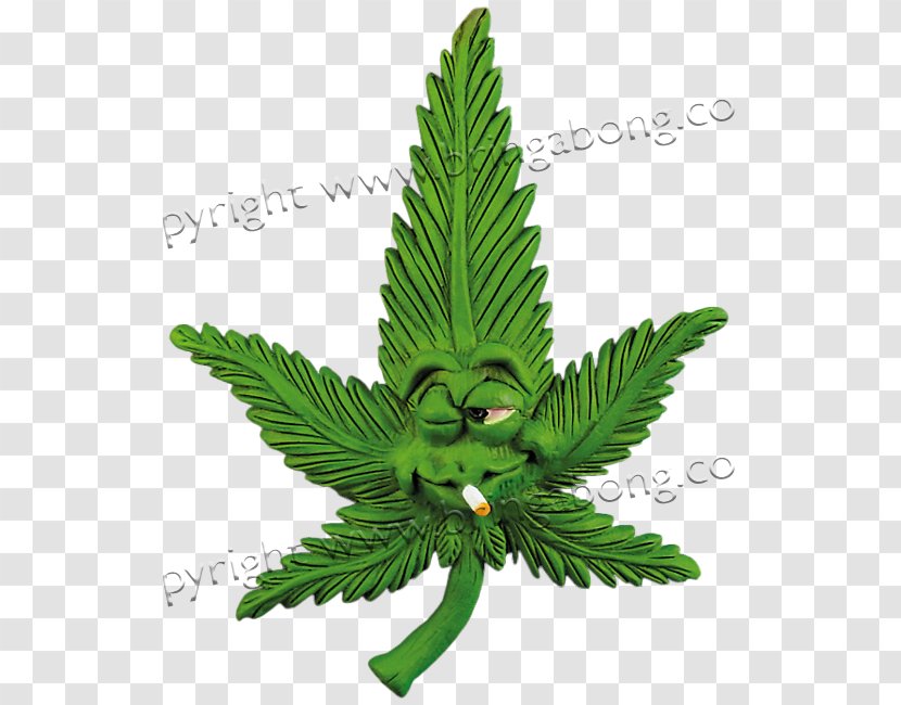 Twitch.tv Hemp Video Games Amazon Prime Leaf - Fern - Television Show Transparent PNG