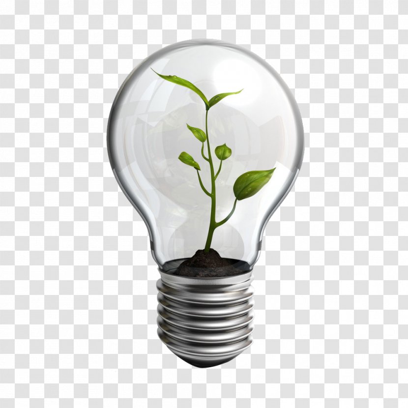 Paper AIESEC Non-profit Organisation Waste Service - Organization - Light Bulb Transparent PNG
