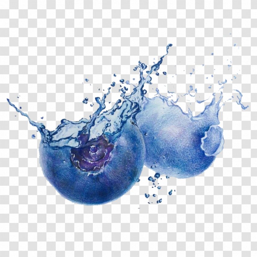 Blueberry Drawing - Water - Creative Hand-painted Transparent PNG