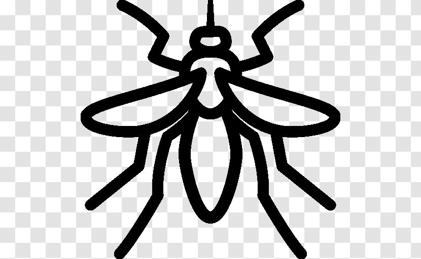 Mosquito Control - Membrane Winged Insect - Pest Vector Transparent PNG