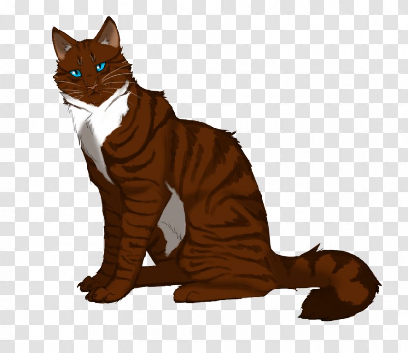 Cat Warriors Rainwhisker ThunderClan Hawkfrost - Erin Hunter Transparent PNG