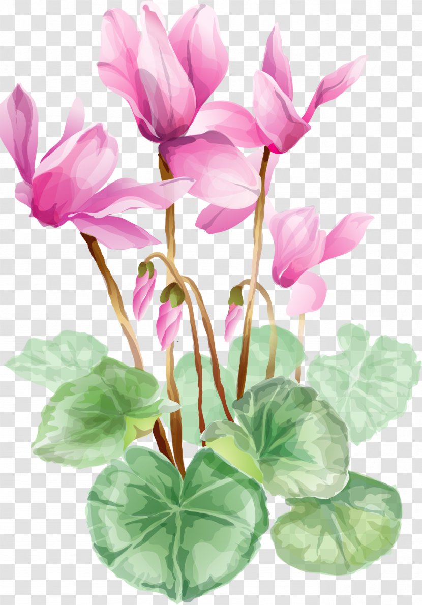 Flower Clip Art - Bouquet - Water Lilies Transparent PNG