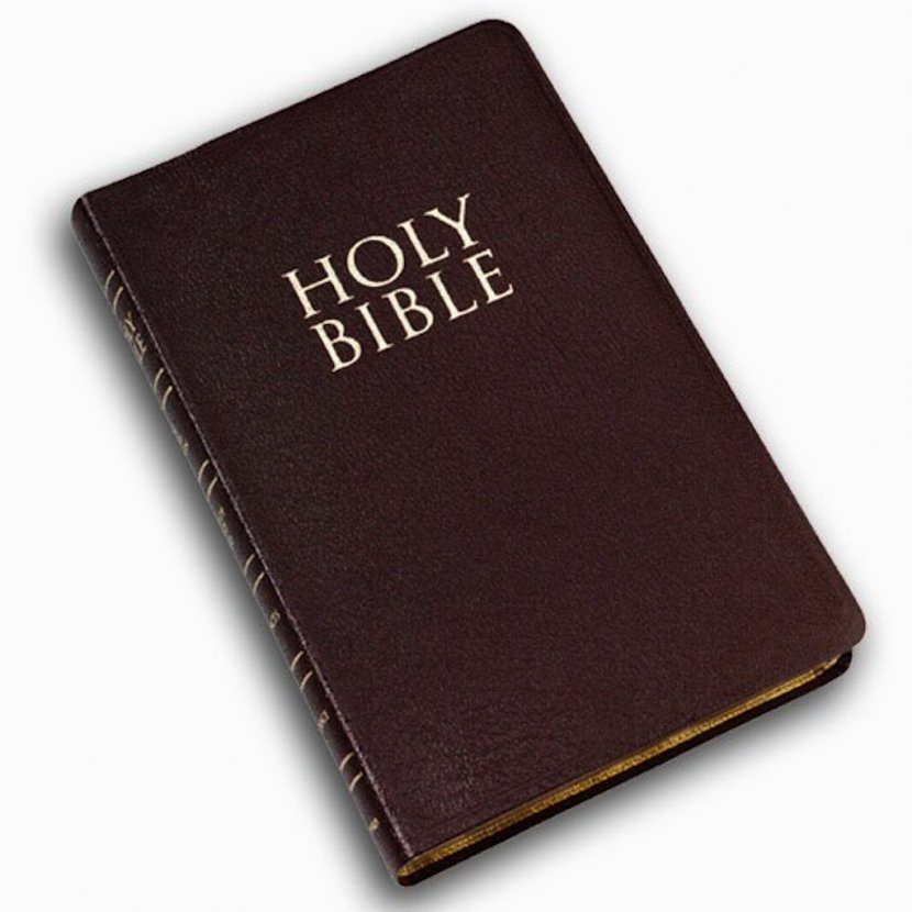 The Bible: Old And New Testaments: King James Version God's Word Translation International Catholic Bible - Study - Holy Transparent PNG