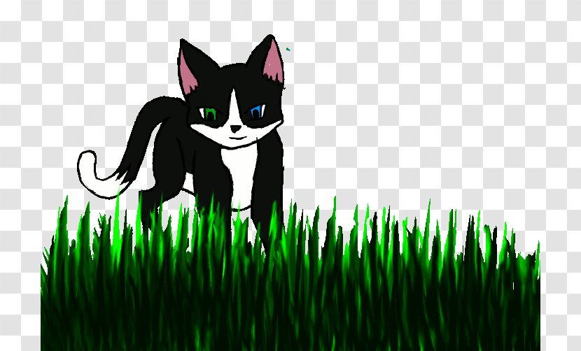 Whiskers Cat Desktop Wallpaper Cartoon - Green Transparent PNG