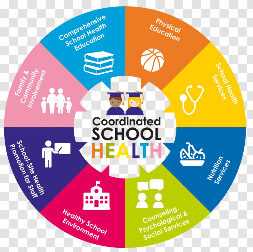 School Health Education District Transparent PNG