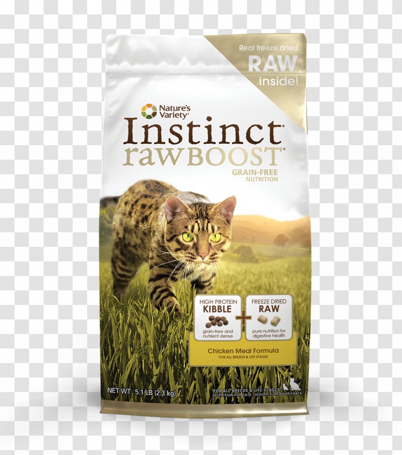 Cat Food Raw Foodism Bambino Sphynx Kitten - Nutrition - Chicken Transparent PNG