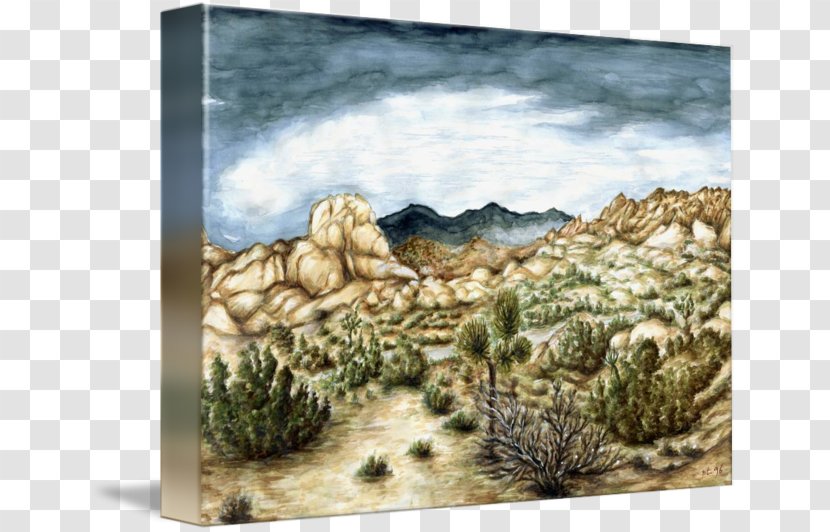 Painting Joshua Tree Picture Frames Canvas - Rock Transparent PNG