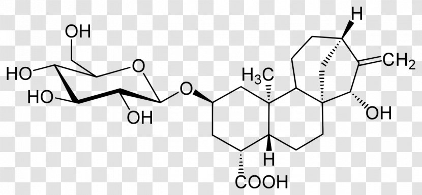 Stevia Glycoside Stevioside Chemistry Broadleaf Plantain - Plant - Tract Transparent PNG