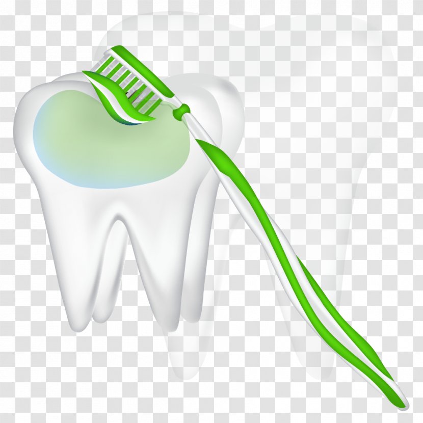Toothbrush Green Clip Art - Flower - And Tooth Vector Transparent PNG