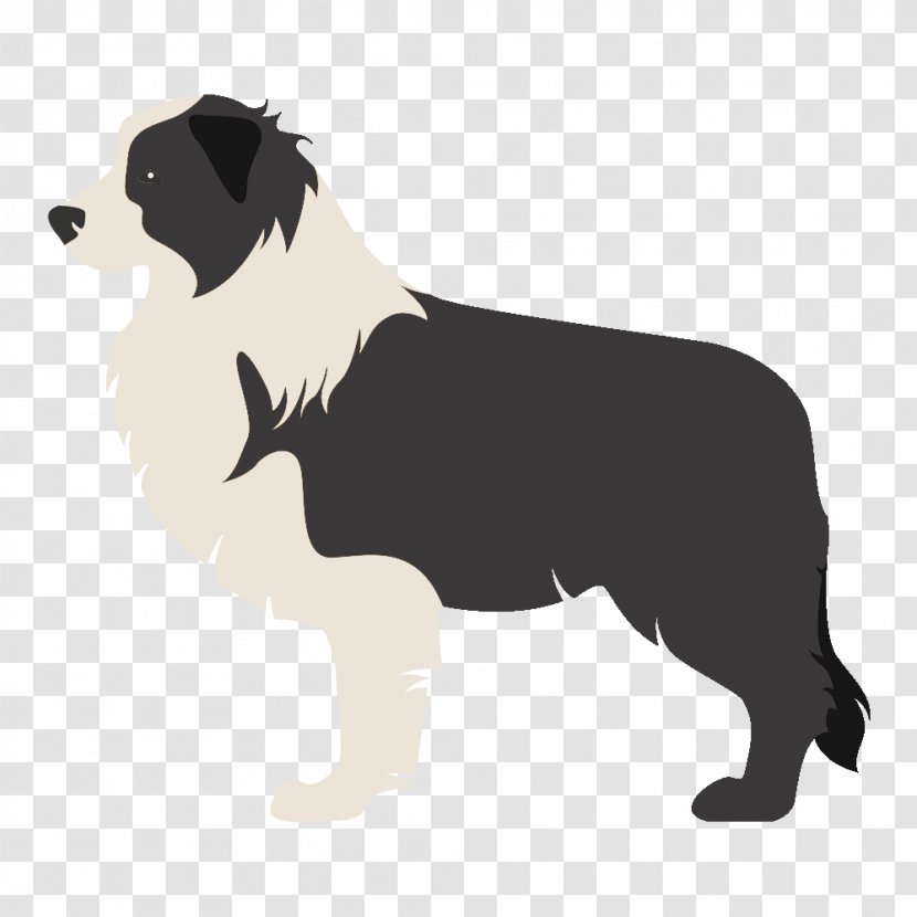 Border Collie Rough Scotch Old English Sheepdog - Dog - Puppy Transparent PNG