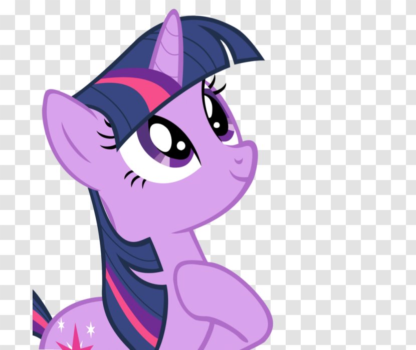 Twilight Sparkle Pony Rainbow Dash Rarity The Crystal Empire - Flower - Silhouette Transparent PNG