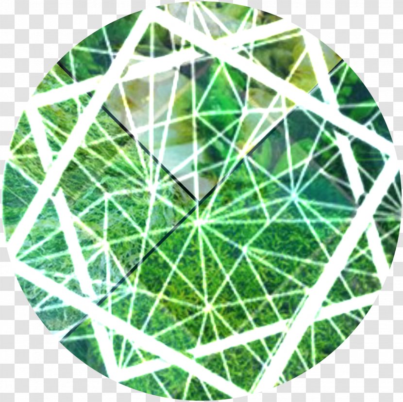 Desktop Wallpaper Instagram - Cat - Spiderweb Pattern Transparent PNG