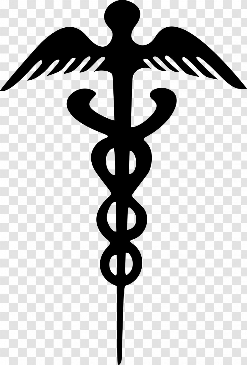 Firkin Symbol Clip Art - Public Domain - Caduceus Medical Transparent PNG