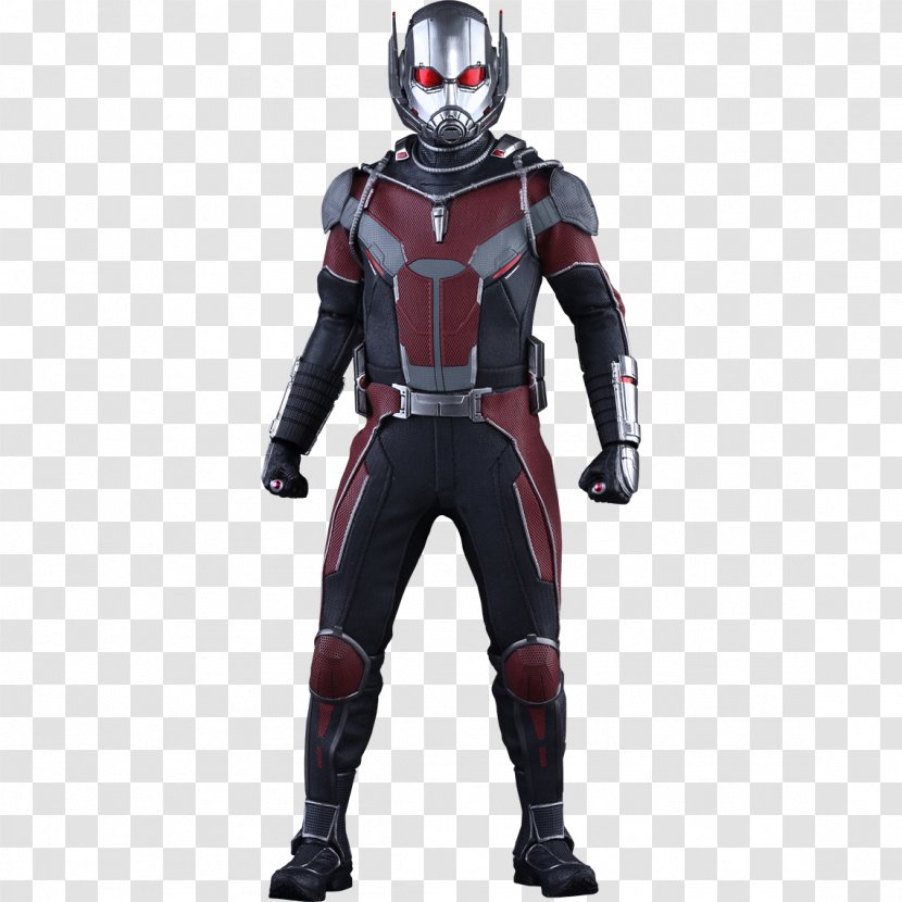 Ant-Man Hank Pym Captain America Iron Man Hot Toys Limited - Film - Comic Ants Transparent PNG