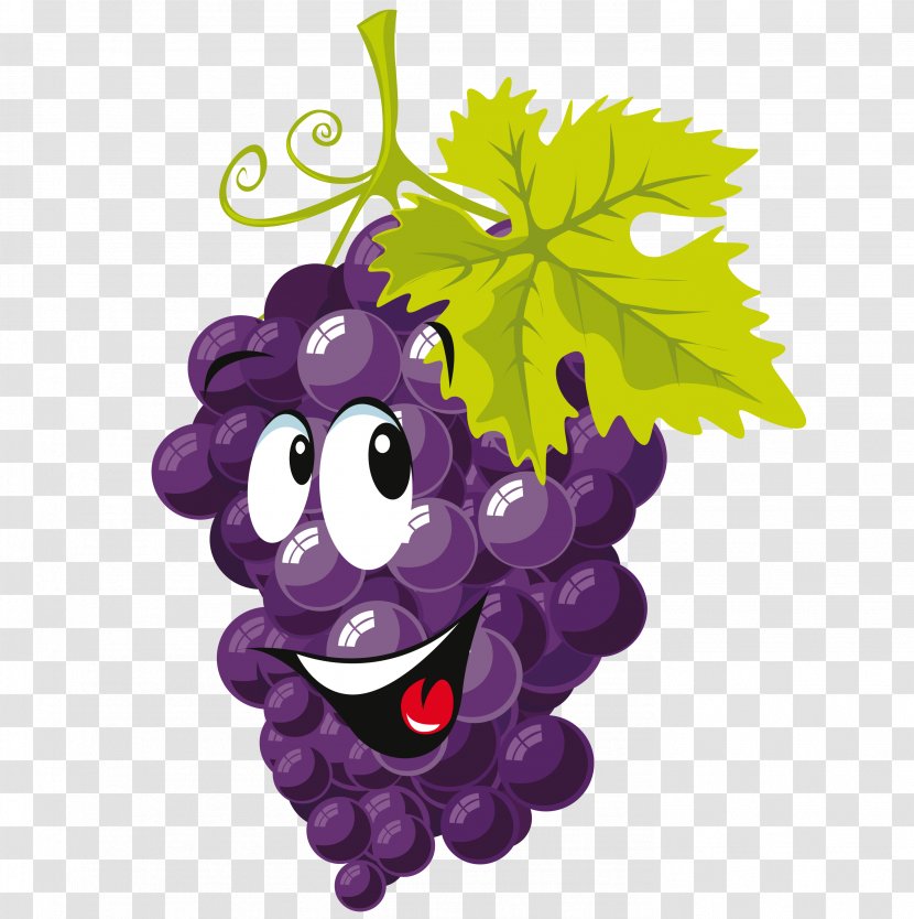 Fruit Cartoon Drawing Clip Art - Food - Grape Transparent PNG