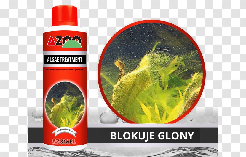 Red Algae Plant Water Diatom - Algaecide Transparent PNG