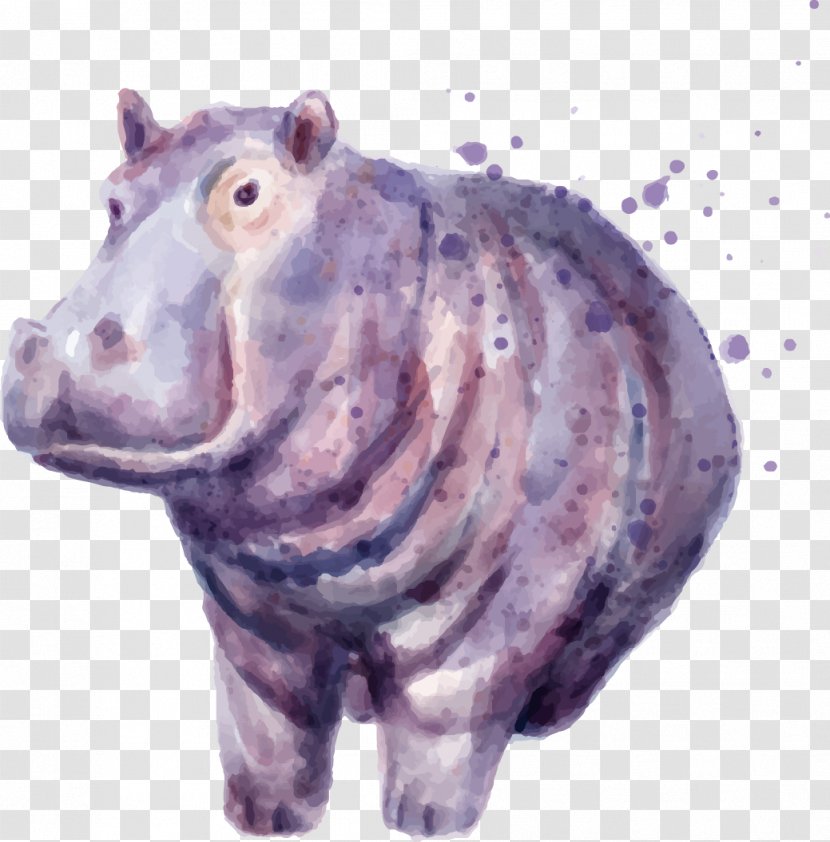 Hippopotamus Drawing Painting - Snout - Vector Hand-painted Watercolor Illustration Hippo Transparent PNG