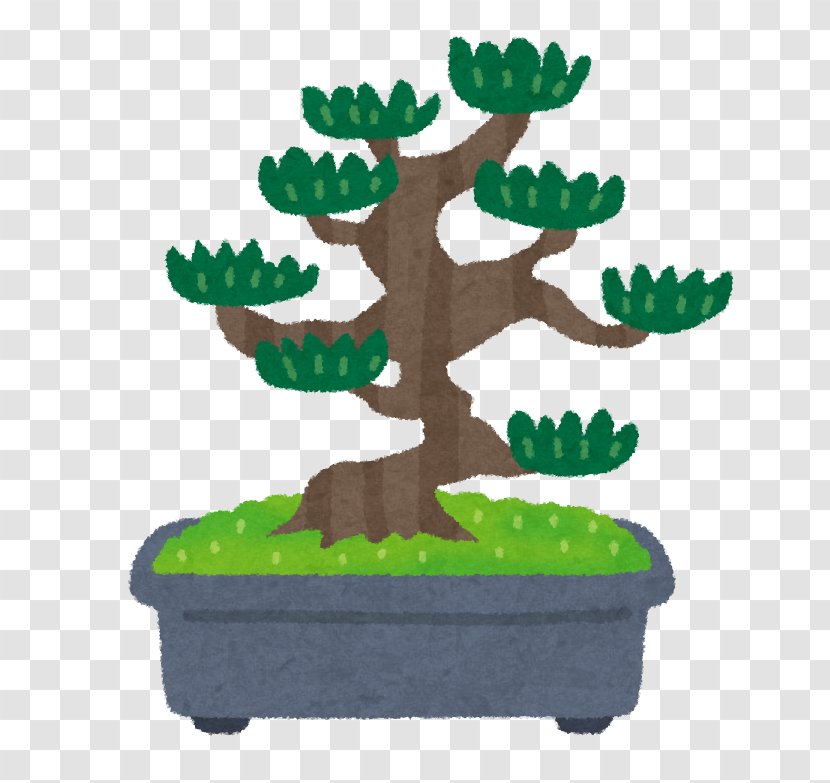 Bonsai 寄せ植え Pruning Pine 鉢 - Houseplant Transparent PNG