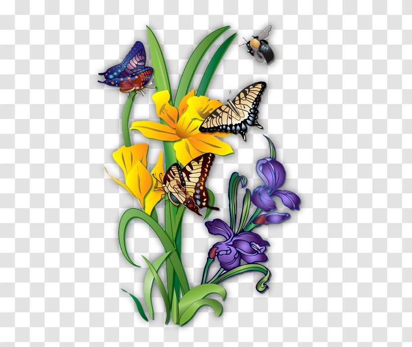 Brush-footed Butterflies Butterfly Illustration Pterygota Floral Design - Painting Transparent PNG
