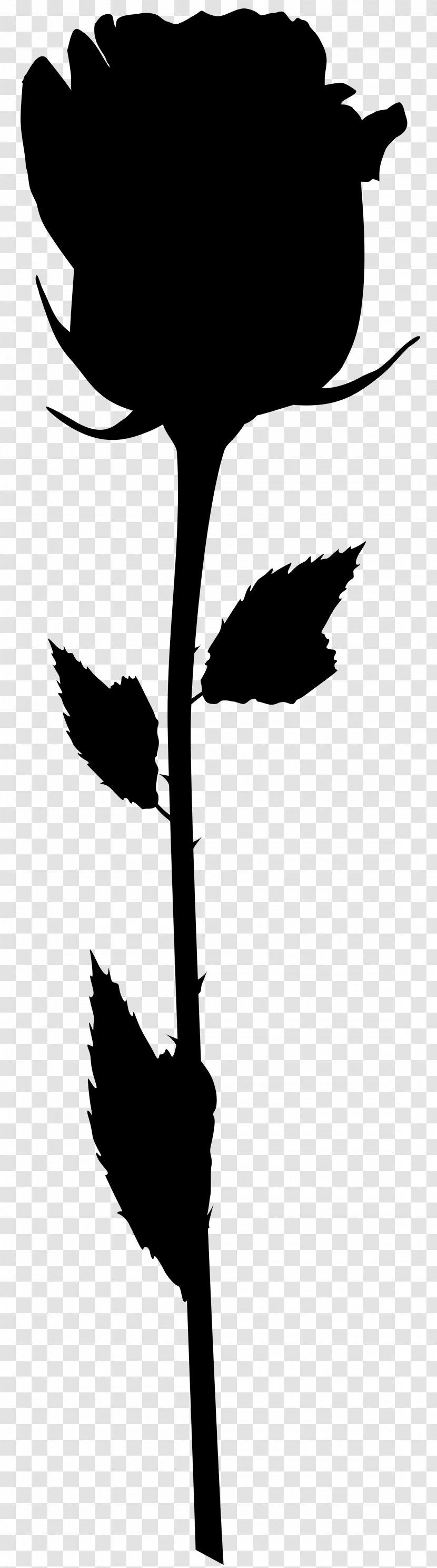 Bird Flower Plant Stem Beak Leaf - Plants Transparent PNG