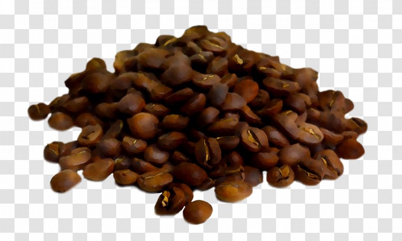 Jamaican Blue Mountain Coffee Commodity Seed Superfood - Bean Transparent PNG