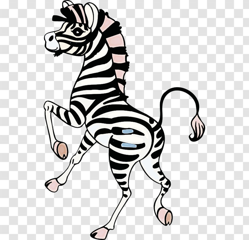 Zebra White Line Art Wildlife Head Transparent PNG