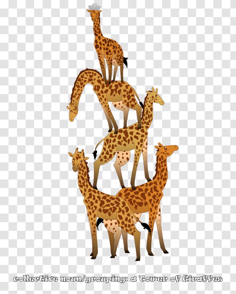 Giraffe Deer Neck Terrestrial Animal Wildlife Transparent PNG