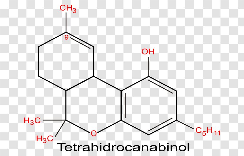 Tetrahydrocannabinol Cannabinoid Cannabidiol Cannabis Sativa - Rectangle Transparent PNG