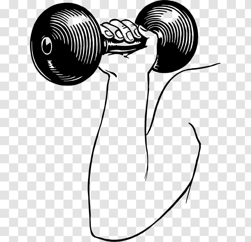 Dumbbell Weight Training Fitness Centre Clip Art - Artwork Transparent PNG