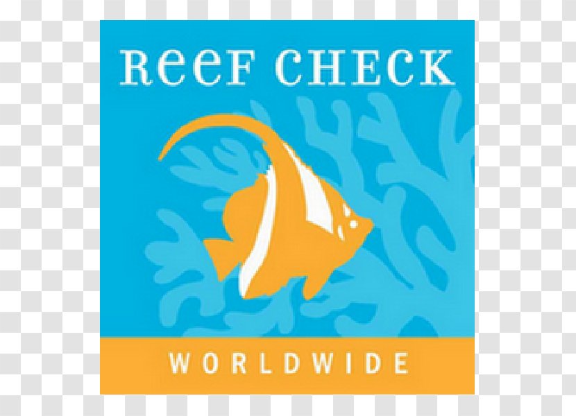 Reef Check Coral International Conservation Great Barrier - Underwater - Run It Buddy Transparent PNG