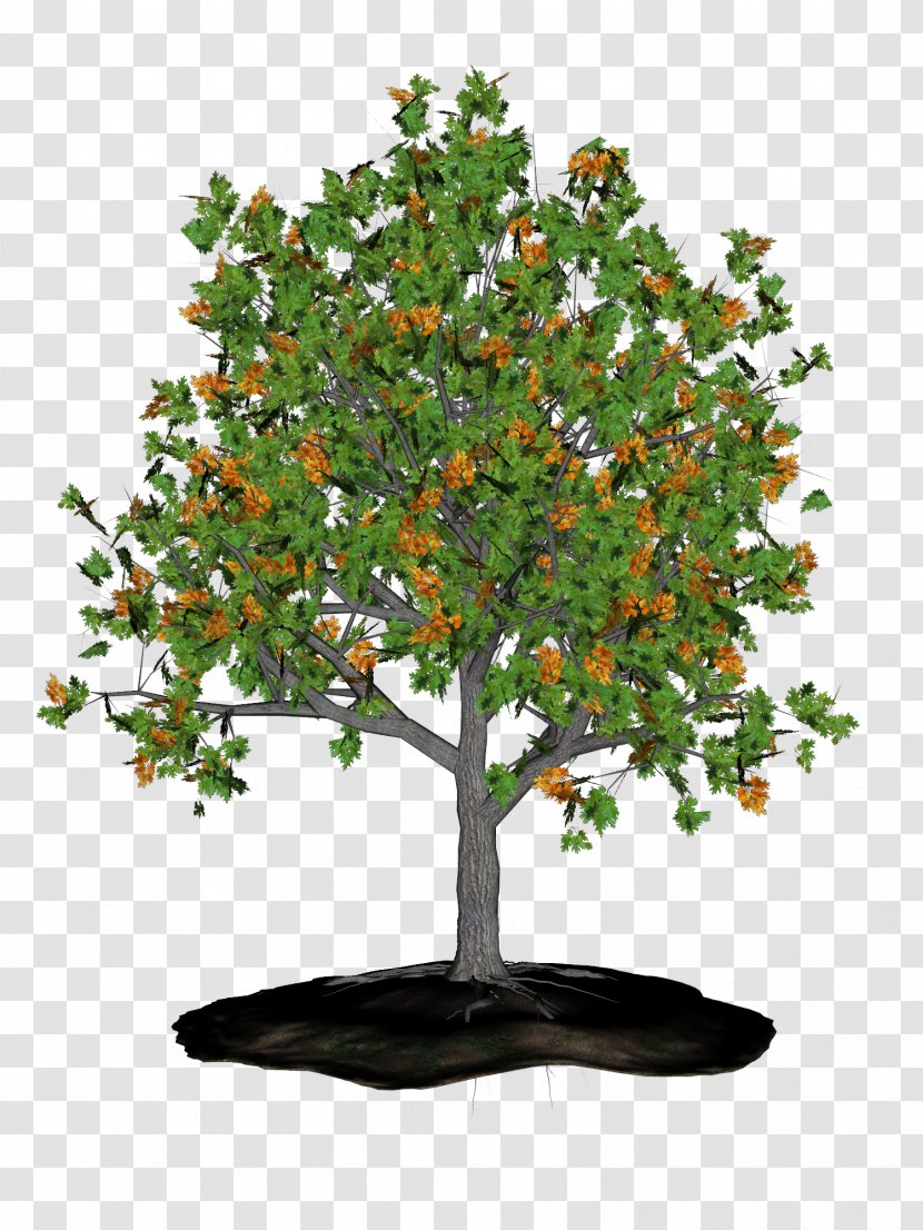 Clip Art Tree Image Desktop Wallpaper - Resolution Transparent PNG