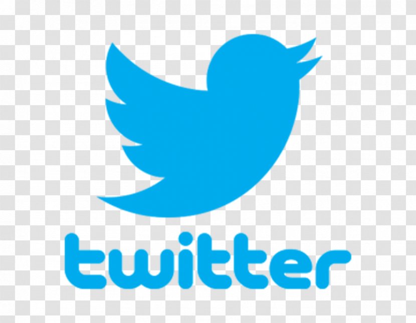 Social Media Twitter Blog User - Logo - Pajarito Transparent PNG