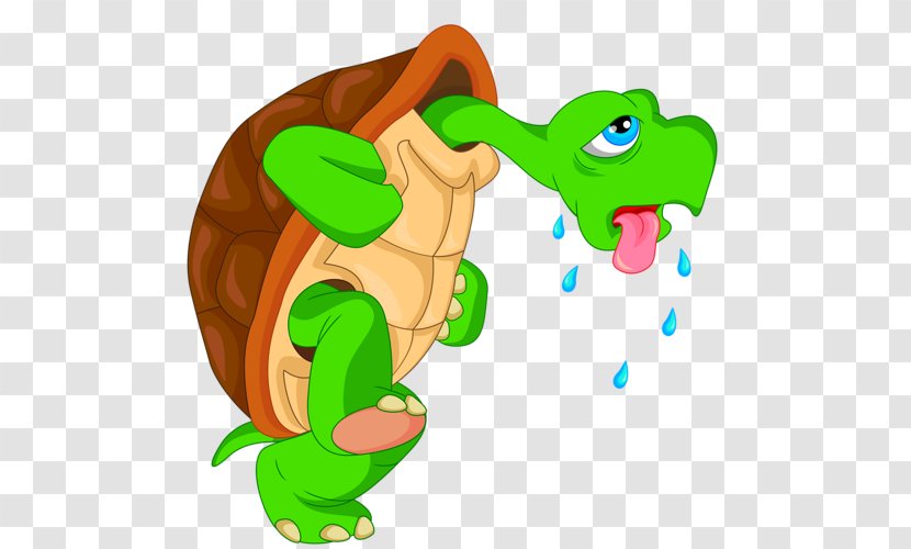 Turtle Vector Graphics Royalty-free Cartoon Illustration - Can Stock Photo Transparent PNG