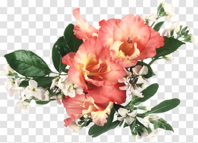 Flower Bouquet Desktop Wallpaper Gladiolus Cut Flowers - Peony Transparent PNG