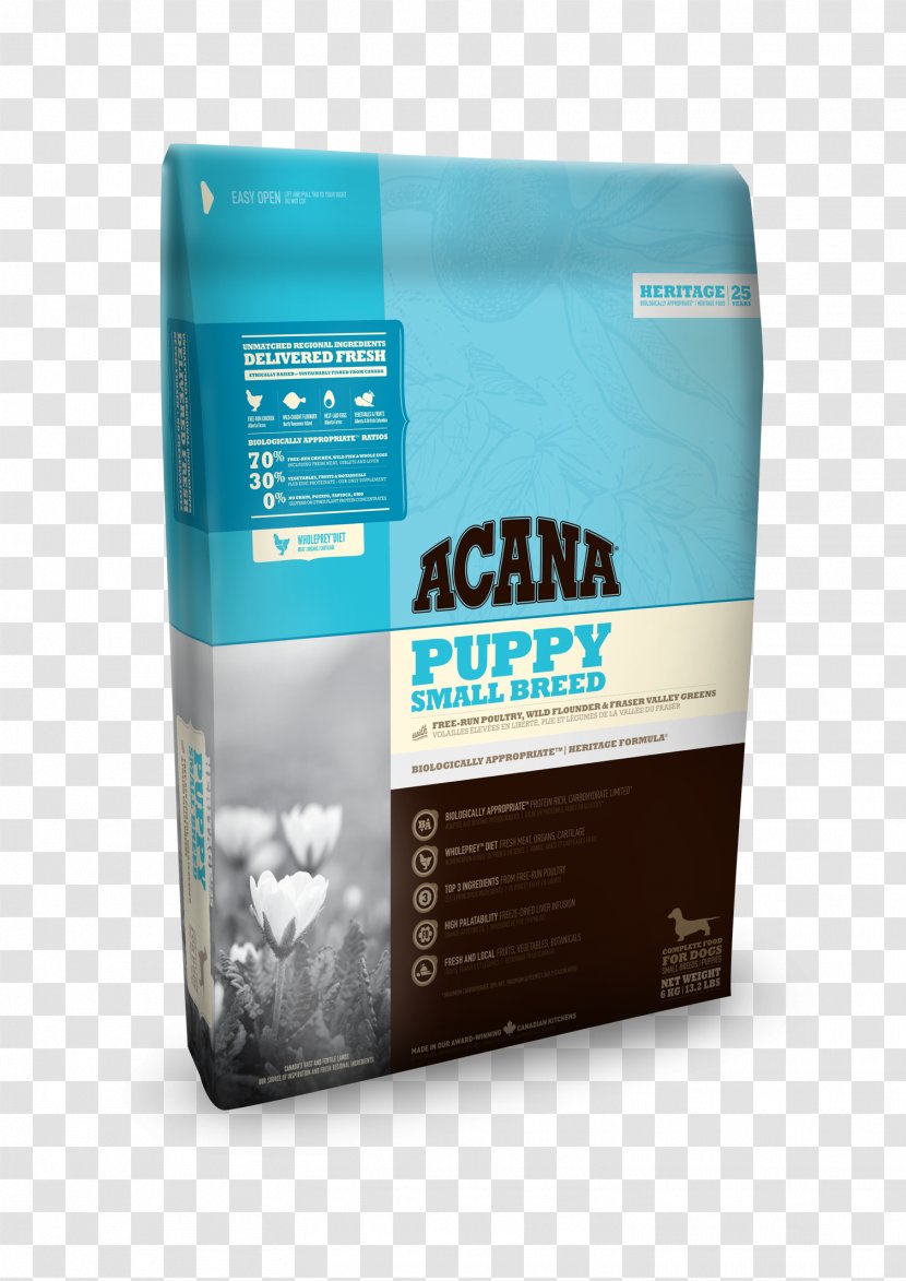 Puppy Cat Jack Russell Terrier Miniature Schnauzer Orijen - Food Transparent PNG