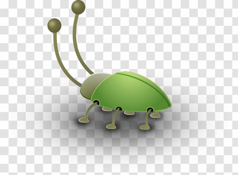 Beetle Green Stink Bug Software Clip Art - Insect - Bugs Transparent PNG
