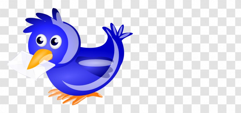English Carrier Pigeon Racing Homer Columbidae Chicken Clip Art - Galliformes Transparent PNG