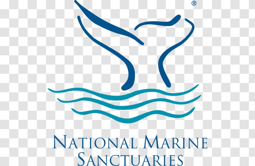 Monterey Bay National Marine Sanctuary Stellwagen Bank Of American Samoa Olympic Coast Channel Islands - Area - Sea Transparent PNG