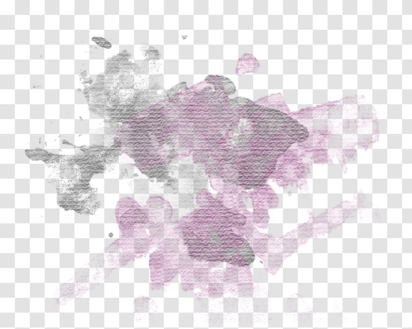 Lavender - Plant - Flower Transparent PNG