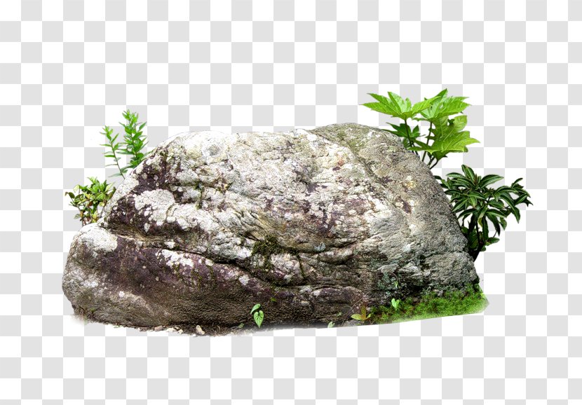 Rock Stone - Flowerpot Transparent PNG