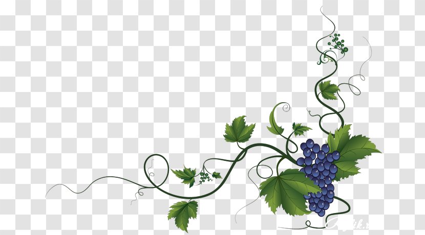 Common Grape Vine Wine Leaves Decorative Borders - Green - Curled Corner Transparent PNG