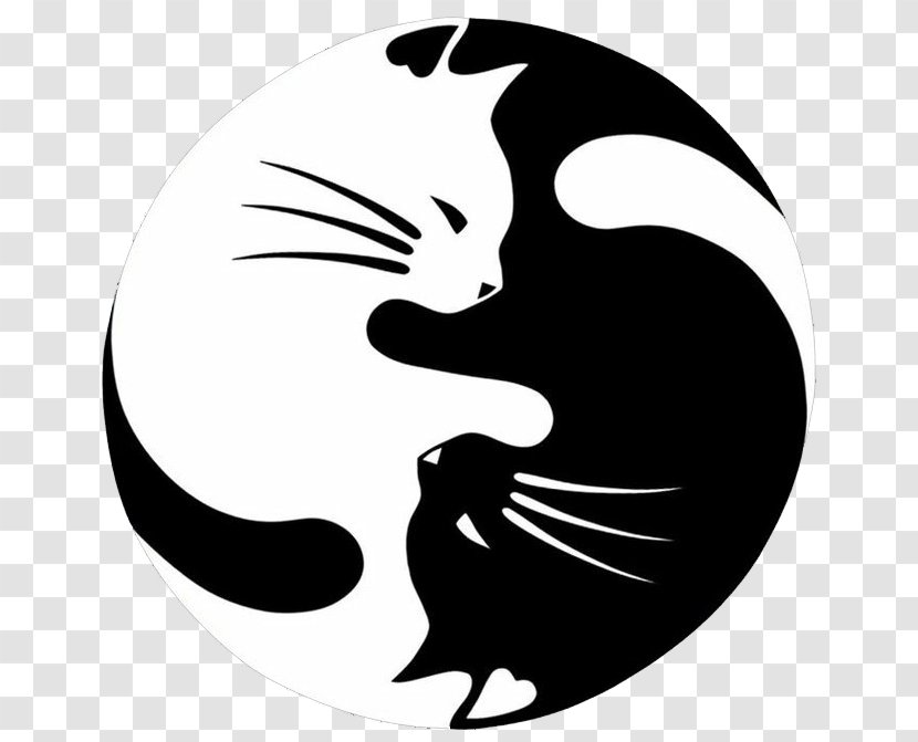 Cat Kitten Window Decal Sticker - Bumper - Fresh Black And White Yin Yang Jade Transparent PNG