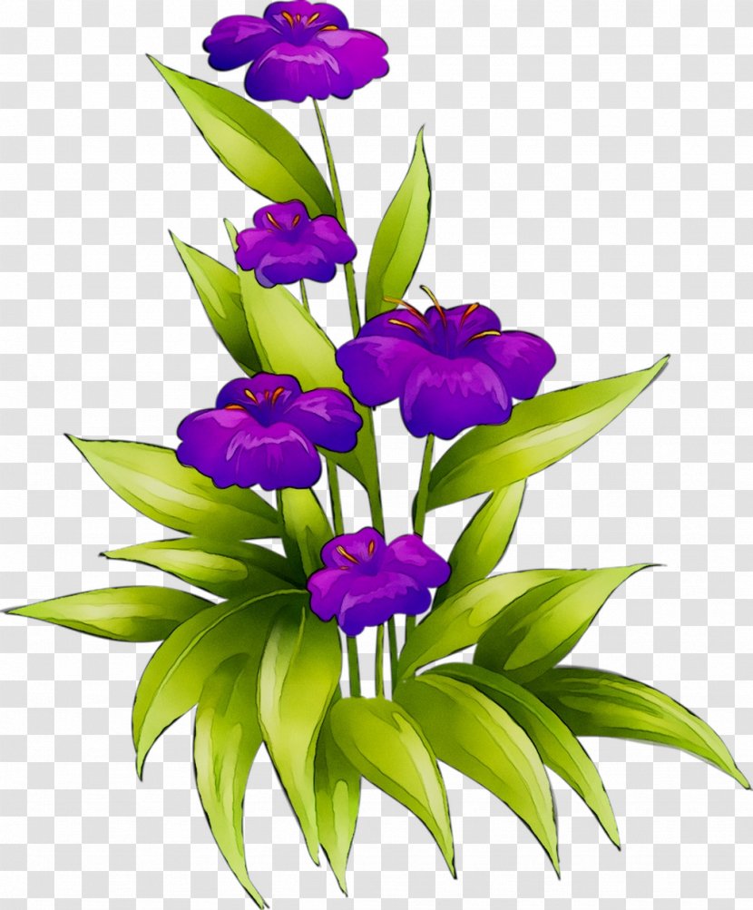 Floral Design Cut Flowers Plant Stem - Houseplant Transparent PNG