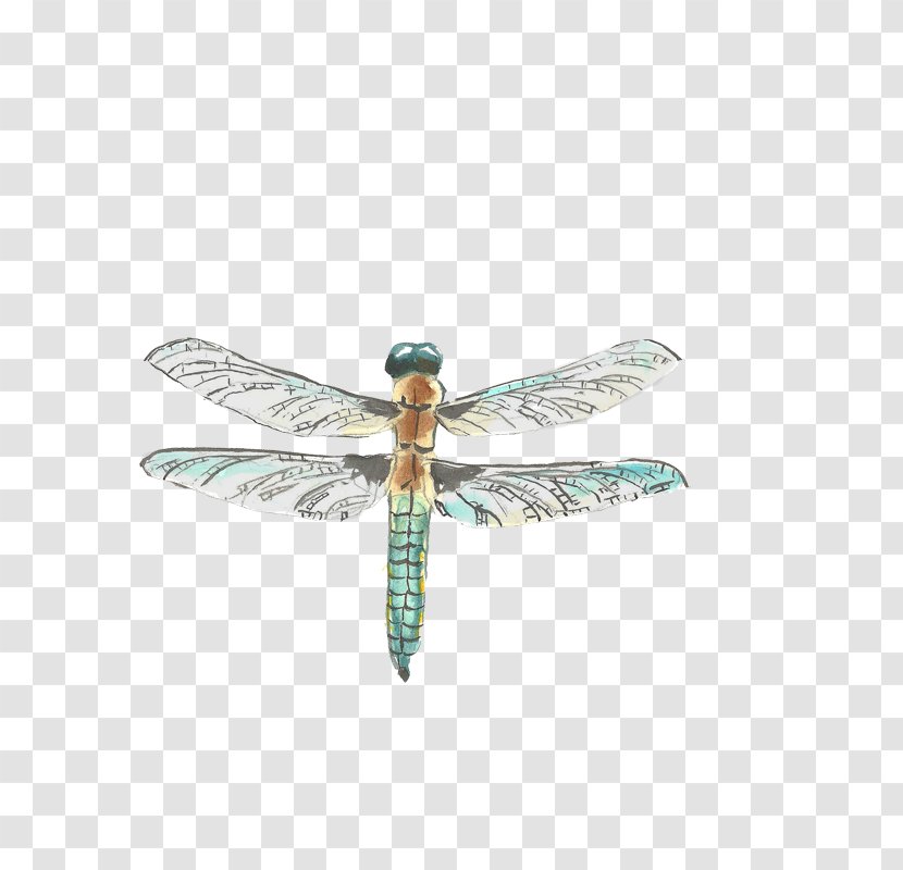 Insect Dragonfly Drawing Watercolor Painting - Dragonflies And Damseflies Transparent PNG