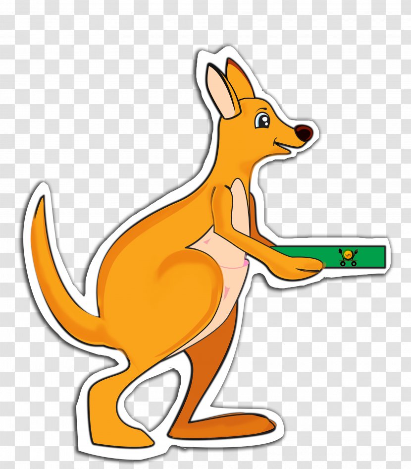 Red Fox Macropods Dog Kangaroo Mammal Transparent PNG