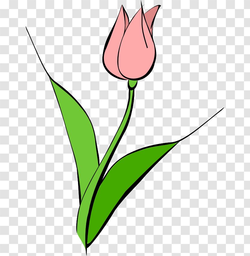 Tulipa Gesneriana Free Content Flower Clip Art - Hand Washing Clipart Transparent PNG