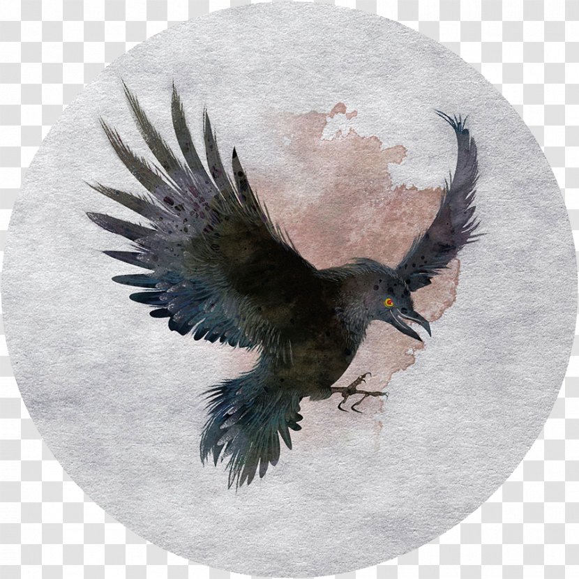 Tamaulipas Crow Bird Hawk - Creative Work - Eagle Material Transparent PNG